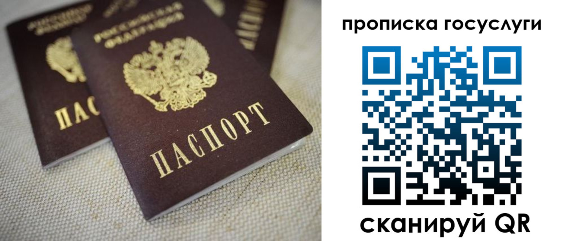 временная регистрация для всех в Гвардейске